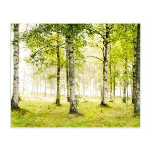 Akustikbillede - Skov