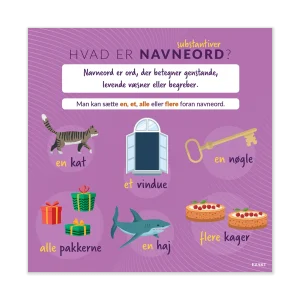 Hvad er navneord?