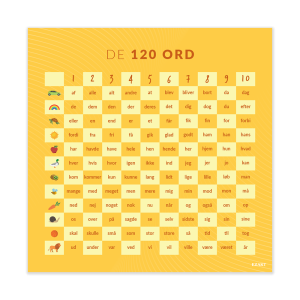 Dansk koordinatsystem