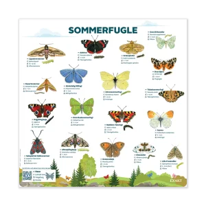 Sommerfugle